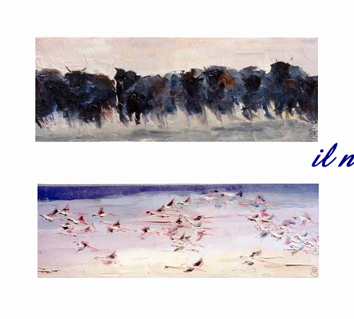 En camargue