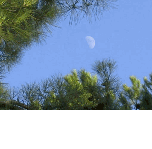 ...de la lune !