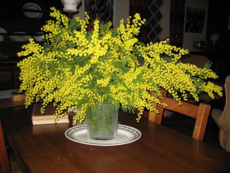 le printemps dans la maison