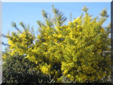 Bientôt le printemps