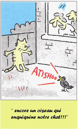 la grippe aviaire