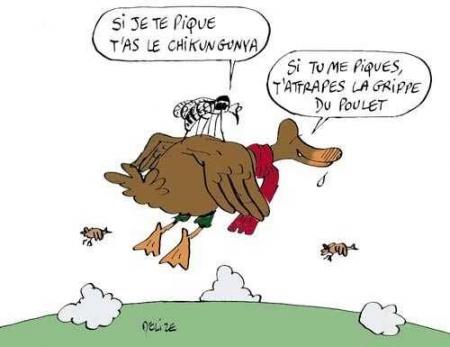 Sans commentaire