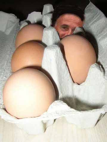 Les oeufs de pâques