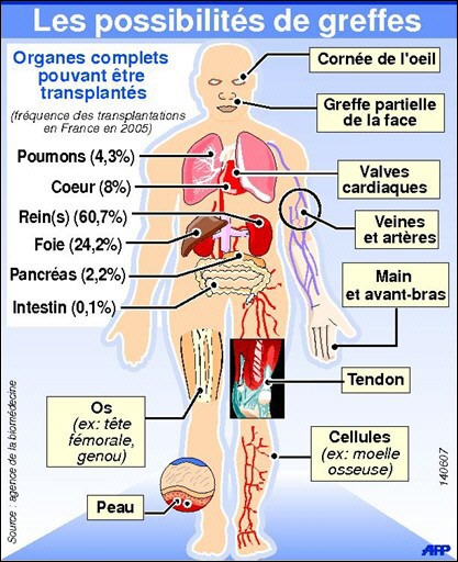 Les dons d'organes