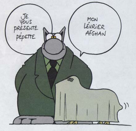 histoire d'animaux
