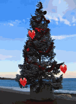 Noël en bord de mer