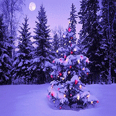 mon beau sapin