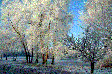 effets  de lumière  sur un paysage de neige