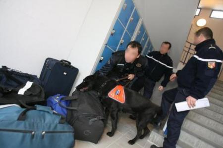 Opération anti-drogue dans les collèges